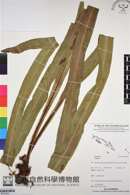 登錄號:BP03343藏品圖，第1張