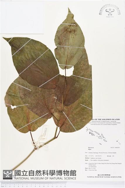 登錄號:BS02873藏品圖，第1張