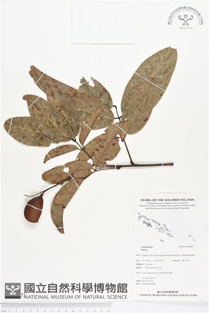 登錄號:BS01873藏品圖，第1張