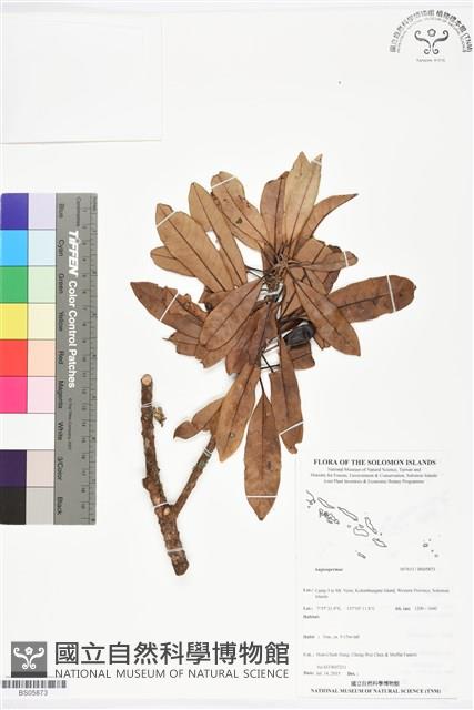 登錄號:BS05873藏品圖，第1張