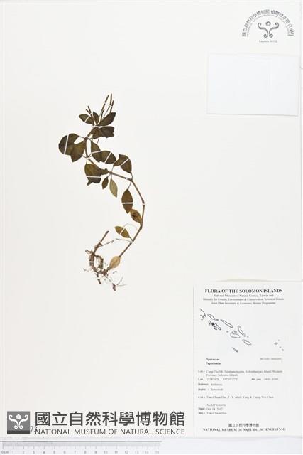 登錄號:BS02073藏品圖，第1張