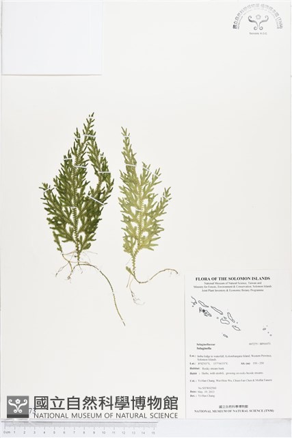 登錄號:BP01073藏品圖，第1張