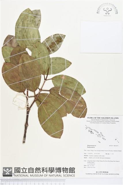 登錄號:BS03073藏品圖，第1張