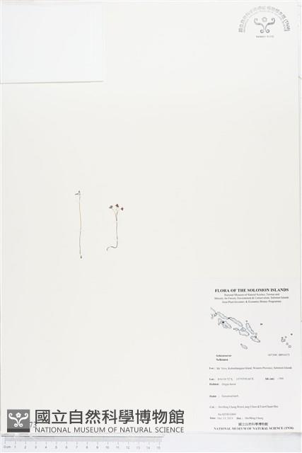 登錄號:BP01673藏品圖，第1張