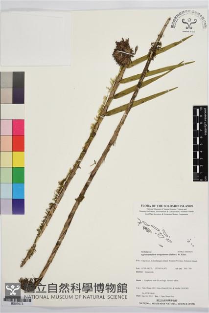 登錄號:BS07673藏品圖，第1張