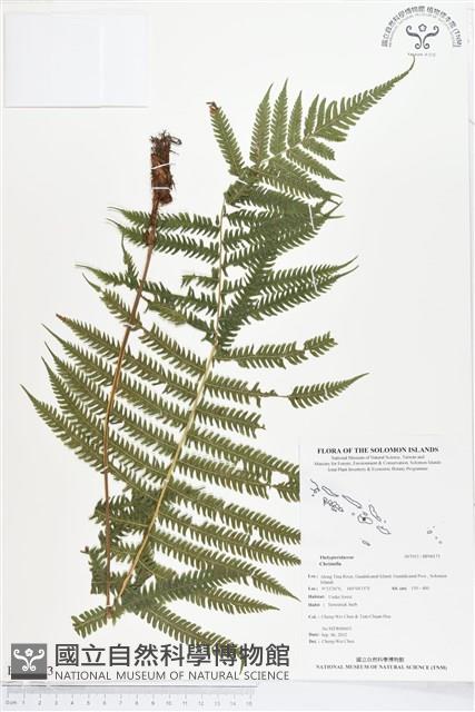 登錄號:BP00173藏品圖，第1張