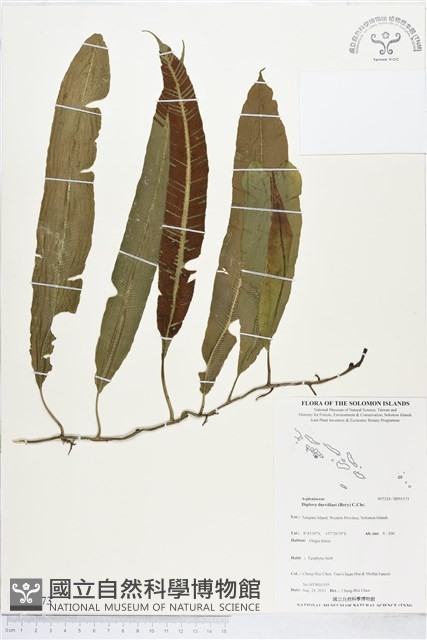 登錄號:BP01173藏品圖，第1張