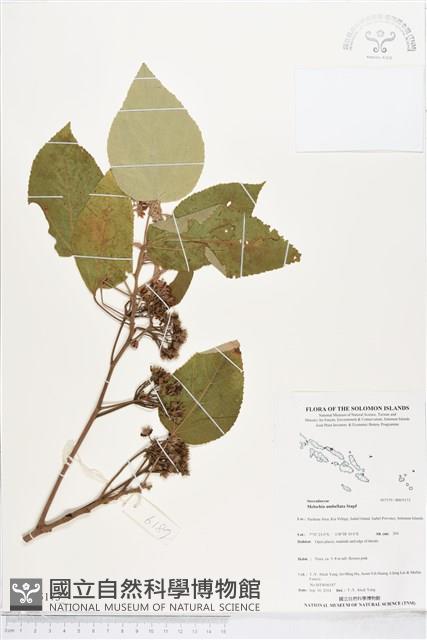 登錄號:BS05173藏品圖，第1張