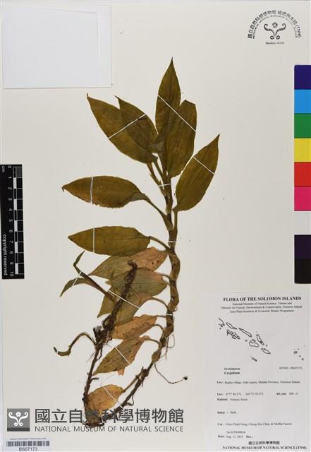 登錄號:BS07173藏品圖，第1張