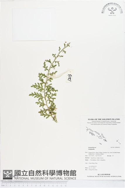 登錄號:BP00473藏品圖，第1張