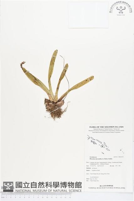登錄號:BS01473藏品圖，第1張