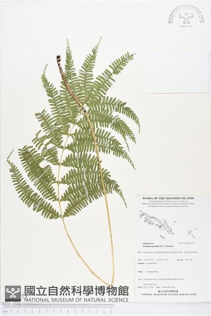 登錄號:BP02273藏品圖，第1張