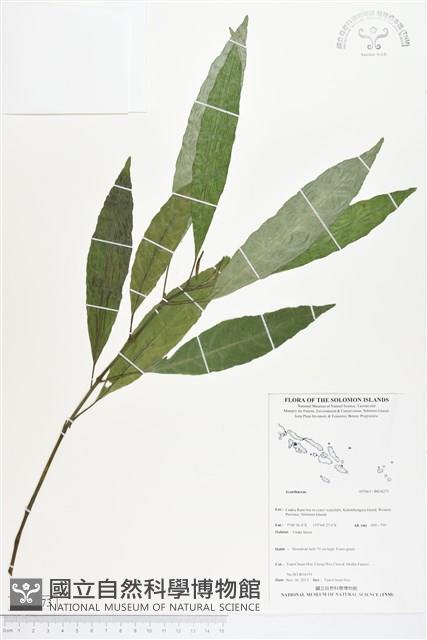 登錄號:BS04273藏品圖，第1張