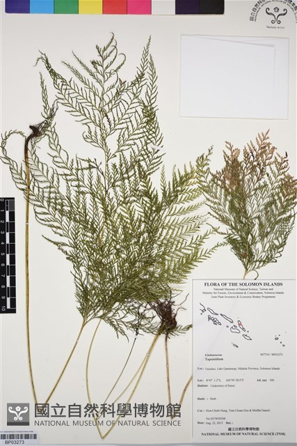 登錄號:BP03273藏品圖，第1張