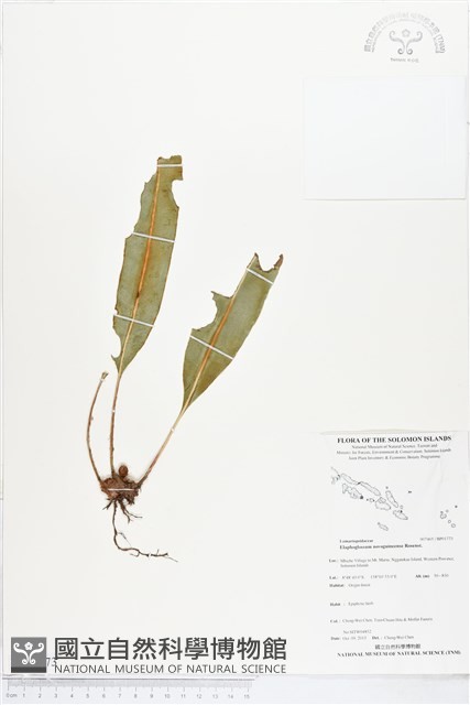 登錄號:BP01773藏品圖，第1張