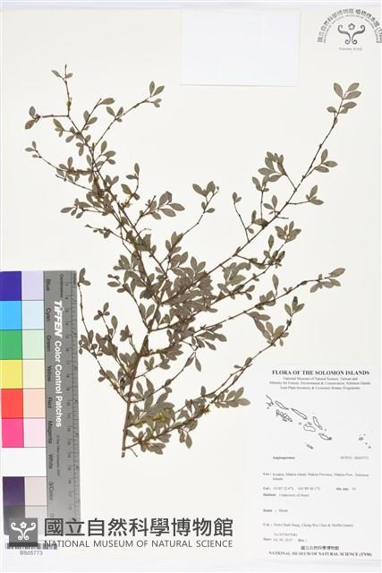 登錄號:BS05773藏品圖，第1張