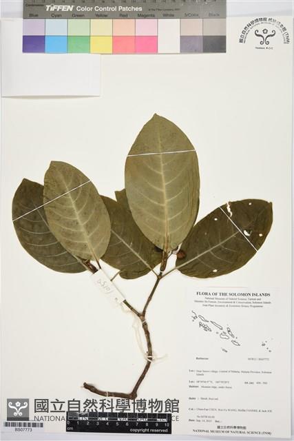 Accession Number:BS07773 Collection Image