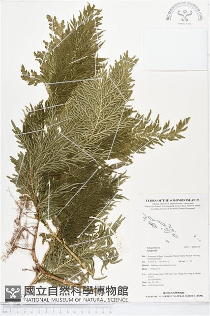 登錄號:BP00573藏品圖，第1張