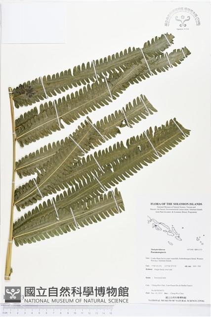 登錄號:BP01573藏品圖，第1張