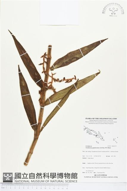 登錄號:BS04573藏品圖，第1張