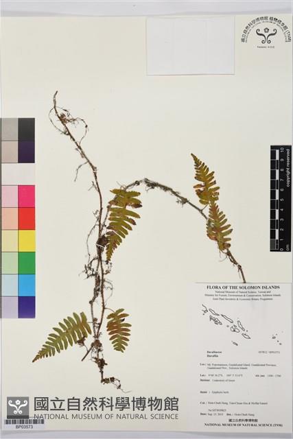 登錄號:BP03573藏品圖，第1張