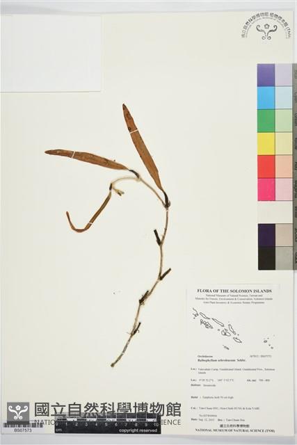 登錄號:BS07573藏品圖，第1張