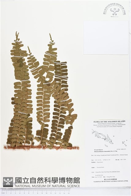 登錄號:BP01973藏品圖，第1張