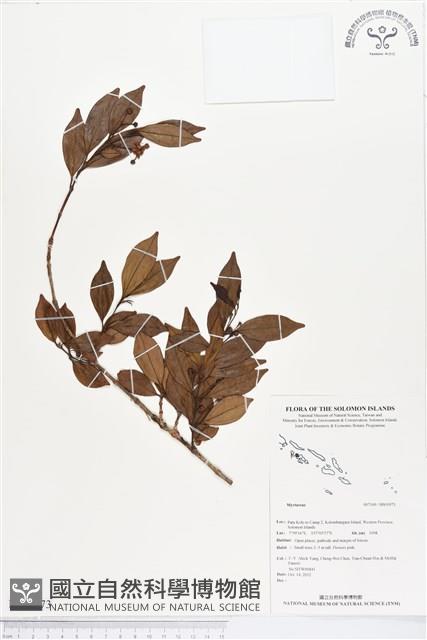 登錄號:BS01973藏品圖，第1張