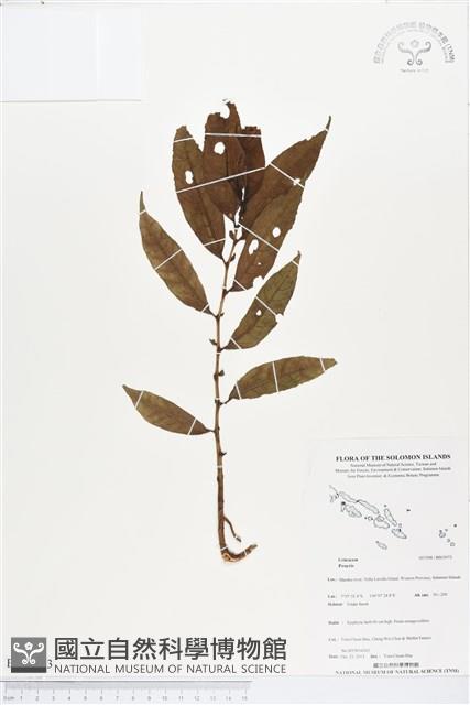 登錄號:BS03973藏品圖，第1張