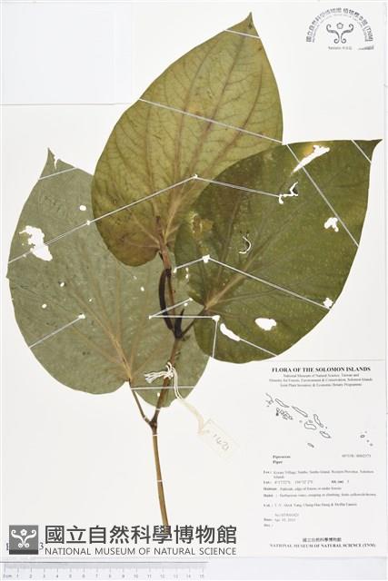 登錄號:BS02373藏品圖，第1張