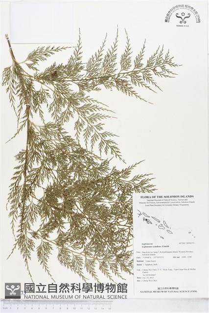 登錄號:BP00373藏品圖，第1張