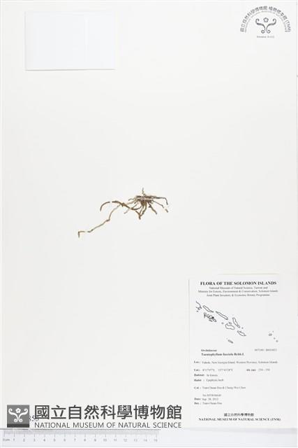 登錄號:BS01853藏品圖，第1張