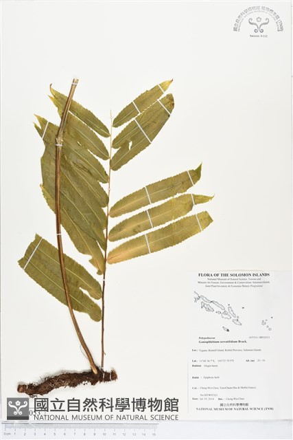 登錄號:BP02053藏品圖，第1張