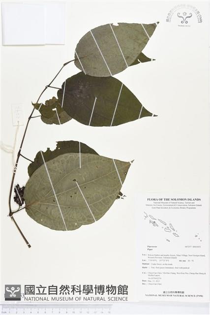 登錄號:BS03053藏品圖，第1張