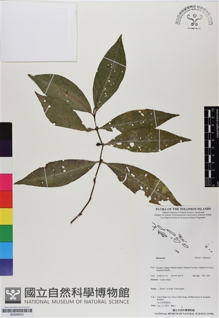 登錄號:BS06653藏品圖，第1張