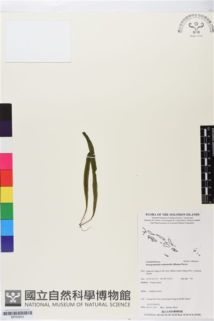 登錄號:BP02653藏品圖，第1張
