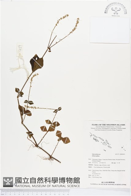 登錄號:BS02653藏品圖，第1張