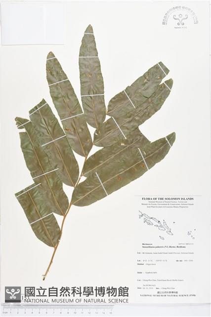 登錄號:BP02153藏品圖，第1張