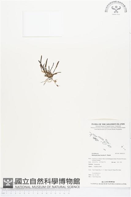 登錄號:BS02153藏品圖，第1張