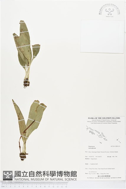 登錄號:BP01153藏品圖，第1張