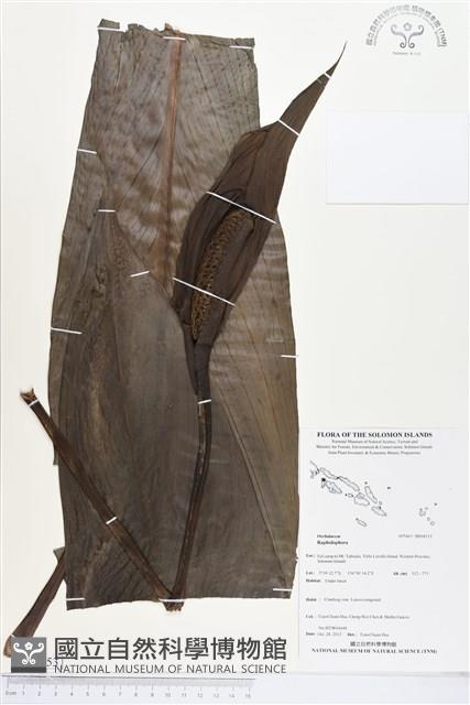 登錄號:BS04153藏品圖，第1張