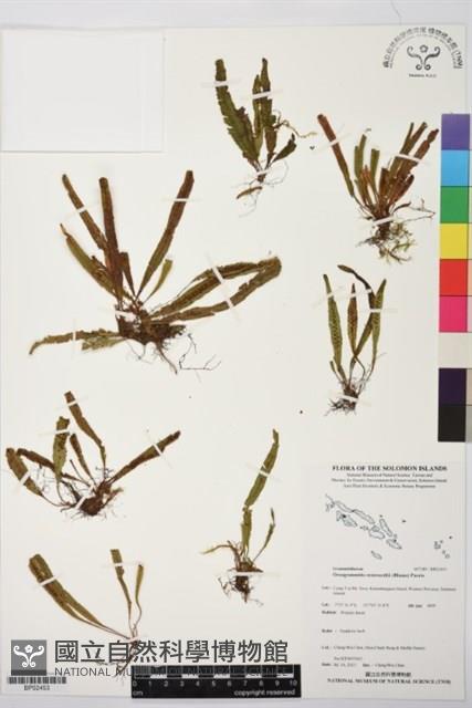 登錄號:BP02453藏品圖，第1張