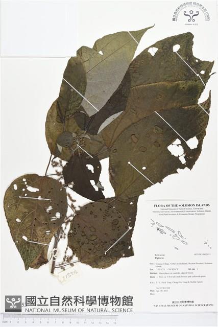 登錄號:BS02453藏品圖，第1張