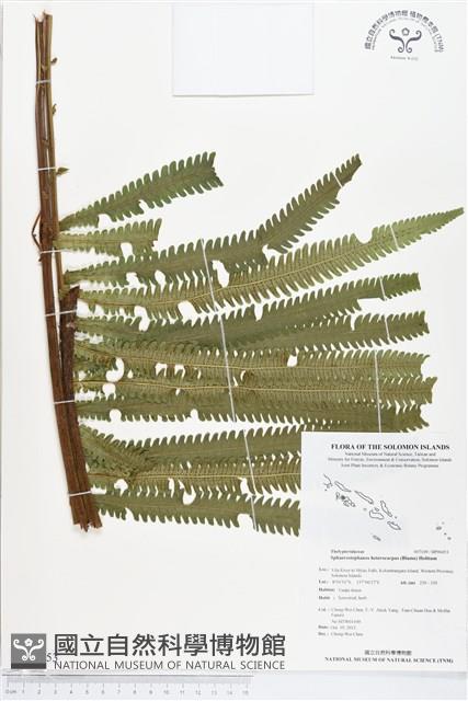 登錄號:BP00453藏品圖，第1張