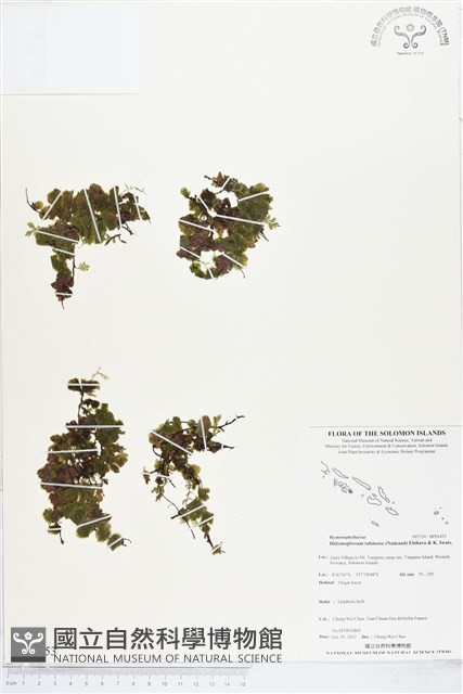 登錄號:BP01453藏品圖，第1張