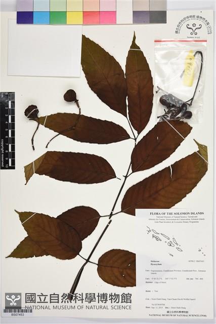 登錄號:BS07453藏品圖，第1張