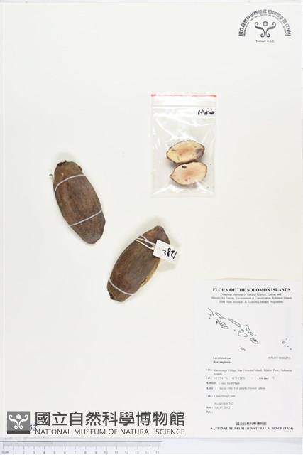 登錄號:BS02253藏品圖，第1張