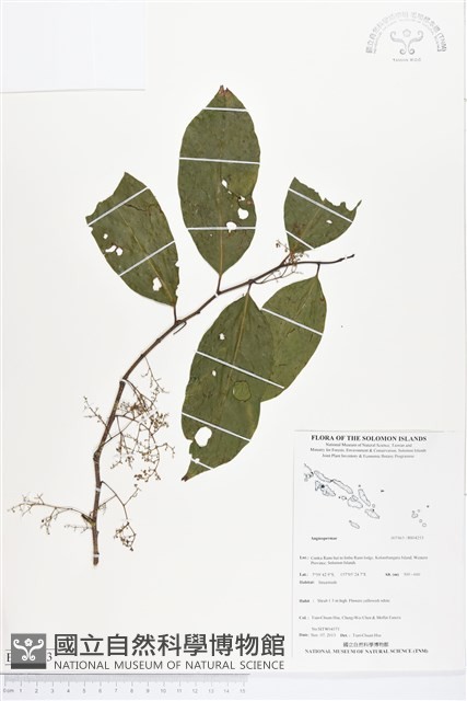 登錄號:BS04253藏品圖，第1張