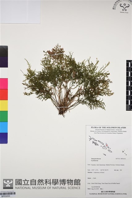 登錄號:BP03253藏品圖，第1張