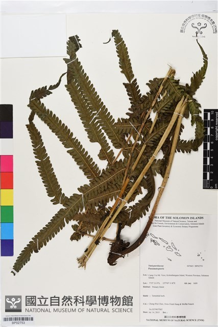 登錄號:BP02753藏品圖，第1張